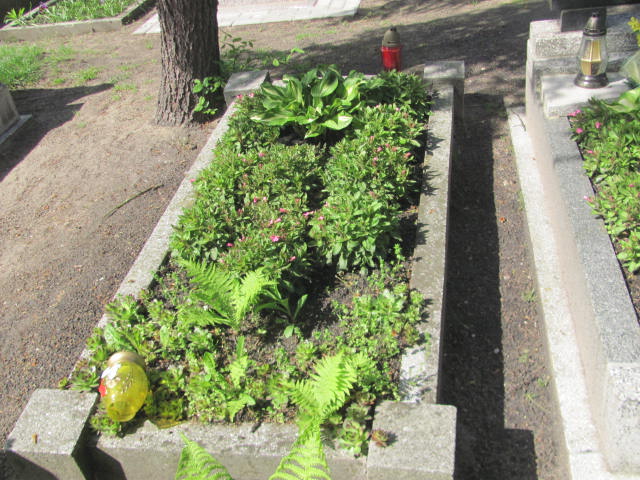  Nn Opole-Półwieś - Grobonet - Wyszukiwarka osób pochowanych