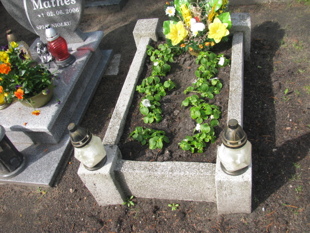  Nn Opole-Półwieś - Grobonet - Wyszukiwarka osób pochowanych