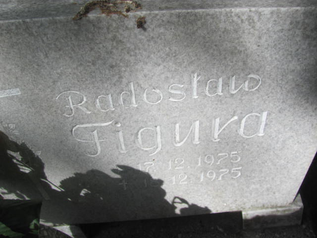 Radosław Figura 1975 Opole-Półwieś - Grobonet - Wyszukiwarka osób pochowanych