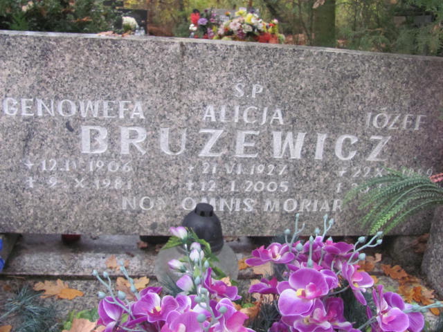 Józef Brużewicz 1899 Opole-Półwieś - Grobonet - Wyszukiwarka osób pochowanych