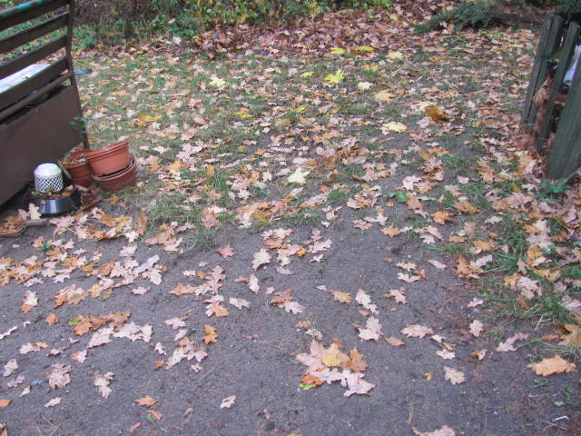 Edward KUBAS 1950 Opole-Półwieś - Grobonet - Wyszukiwarka osób pochowanych