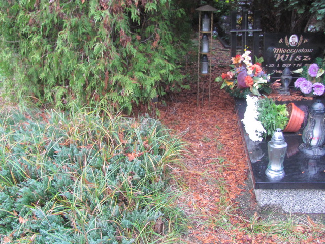 Włodzimierz MUSIAŁ 1951 Opole-Półwieś - Grobonet - Wyszukiwarka osób pochowanych