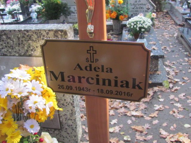 Aleksander Marciniak 1940 Opole-Półwieś - Grobonet - Wyszukiwarka osób pochowanych