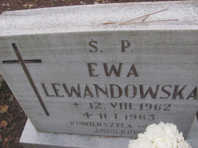 Ewa Lewandowska 1962 Opole-Półwieś - Grobonet - Wyszukiwarka osób pochowanych