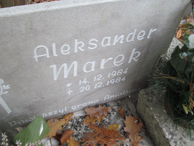 Aleksandra Marek 1984 Opole-Półwieś - Grobonet - Wyszukiwarka osób pochowanych