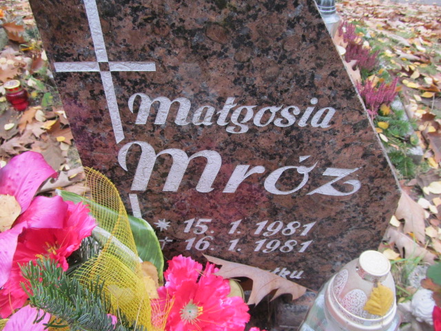 Małgorzata Mróz 1981 Opole-Półwieś - Grobonet - Wyszukiwarka osób pochowanych