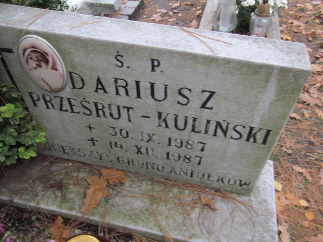 Dariusz Prześrut-Kuliński 1987 Opole-Półwieś - Grobonet - Wyszukiwarka osób pochowanych