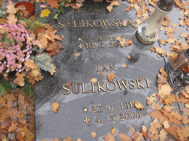 Alfred Czech 1941 Opole-Półwieś - Grobonet - Wyszukiwarka osób pochowanych