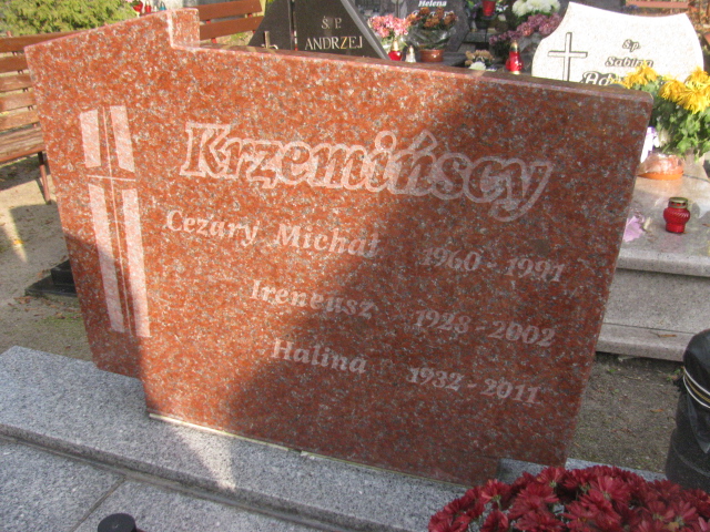 Ireneusz Krzemiński 1928 Opole-Półwieś - Grobonet - Wyszukiwarka osób pochowanych