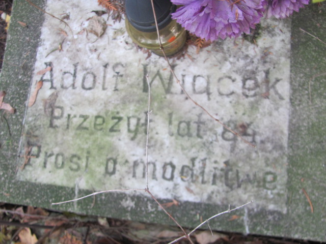 Adolf Wiącek 1880 Opole-Półwieś - Grobonet - Wyszukiwarka osób pochowanych