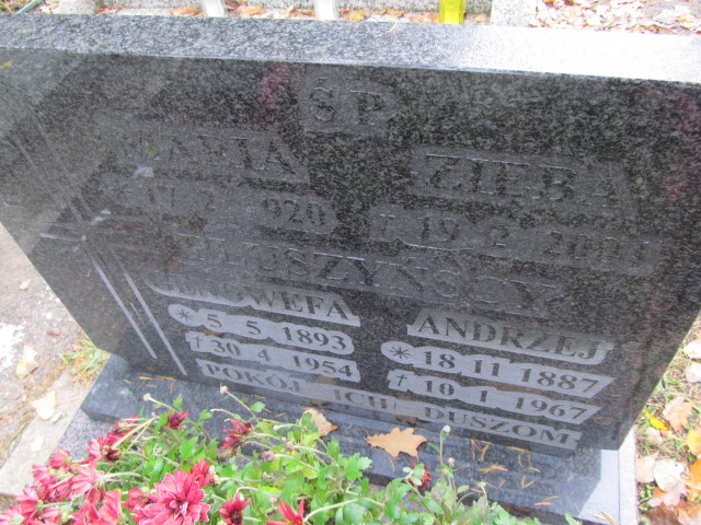 Andrzej Pluszyński 1887 Opole-Półwieś - Grobonet - Wyszukiwarka osób pochowanych