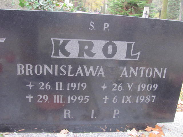 Krystyna SYPIAŃSKA 1938 Opole-Półwieś - Grobonet - Wyszukiwarka osób pochowanych