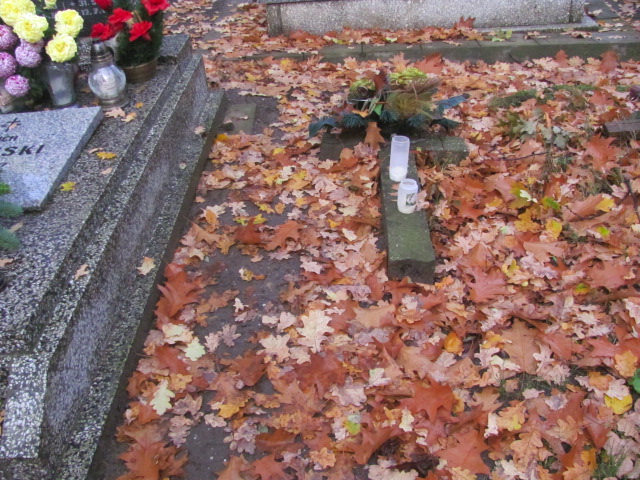 Karolina Urbanowska 1890 Opole-Półwieś - Grobonet - Wyszukiwarka osób pochowanych