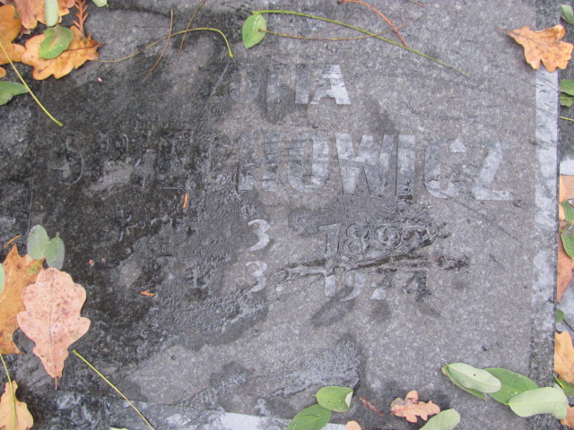 Zygmunt Spiechowicz 1888 Opole-Półwieś - Grobonet - Wyszukiwarka osób pochowanych