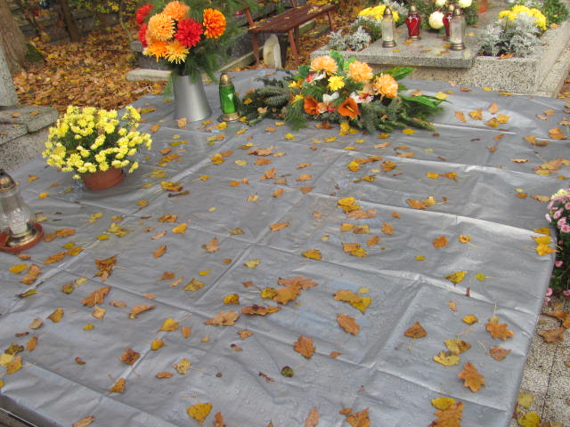 Monika Kowalczyk 1987 Opole-Półwieś - Grobonet - Wyszukiwarka osób pochowanych