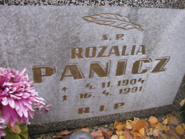 Antoni Panicz 1900 Opole-Półwieś - Grobonet - Wyszukiwarka osób pochowanych