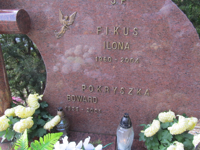 Ilona Fikus 1960 Opole-Półwieś - Grobonet - Wyszukiwarka osób pochowanych