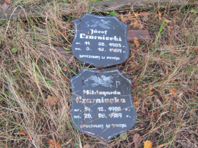 Hildegarda Anna Czarniecka 1908 Opole-Półwieś - Grobonet - Wyszukiwarka osób pochowanych