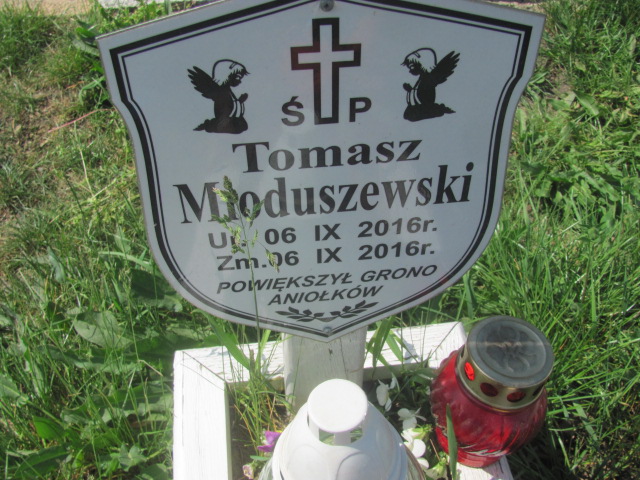 Tomasz Mioduszewski 2016 Opole-Półwieś - Grobonet - Wyszukiwarka osób pochowanych