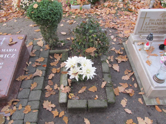 Stanisław Howdziej 1964 Opole-Półwieś - Grobonet - Wyszukiwarka osób pochowanych