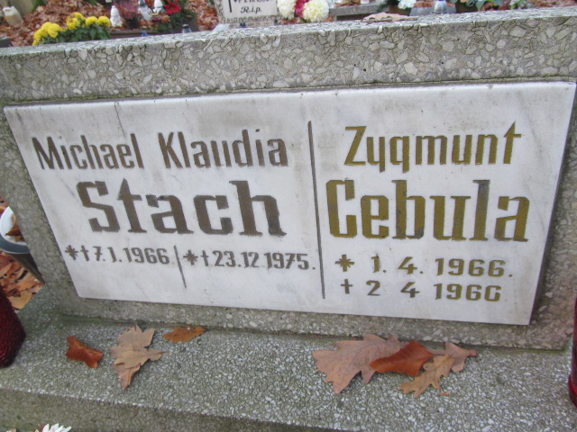 Zygmunt Cebula 1976 Opole-Półwieś - Grobonet - Wyszukiwarka osób pochowanych