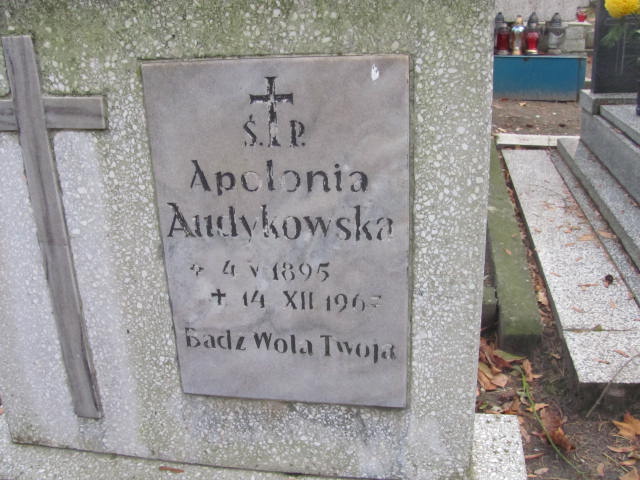 Apolonia Audykowska 1895 Opole-Półwieś - Grobonet - Wyszukiwarka osób pochowanych