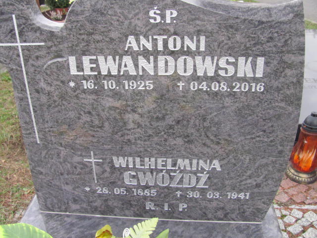 Wilhelmina Gwóźdź 1885 Opole-Półwieś - Grobonet - Wyszukiwarka osób pochowanych