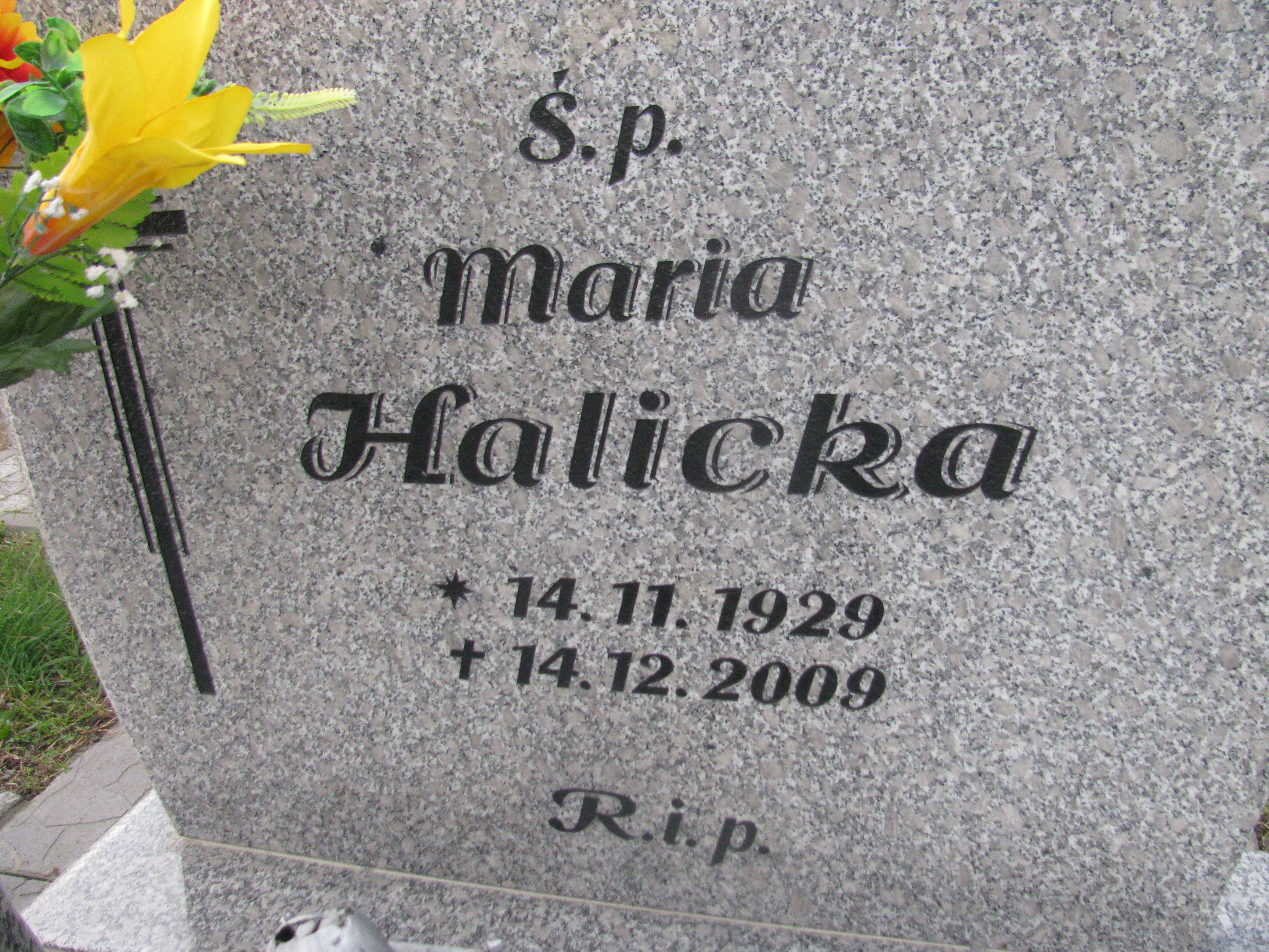 Maria Halicka 1929 Opole-Półwieś - Grobonet - Wyszukiwarka osób pochowanych