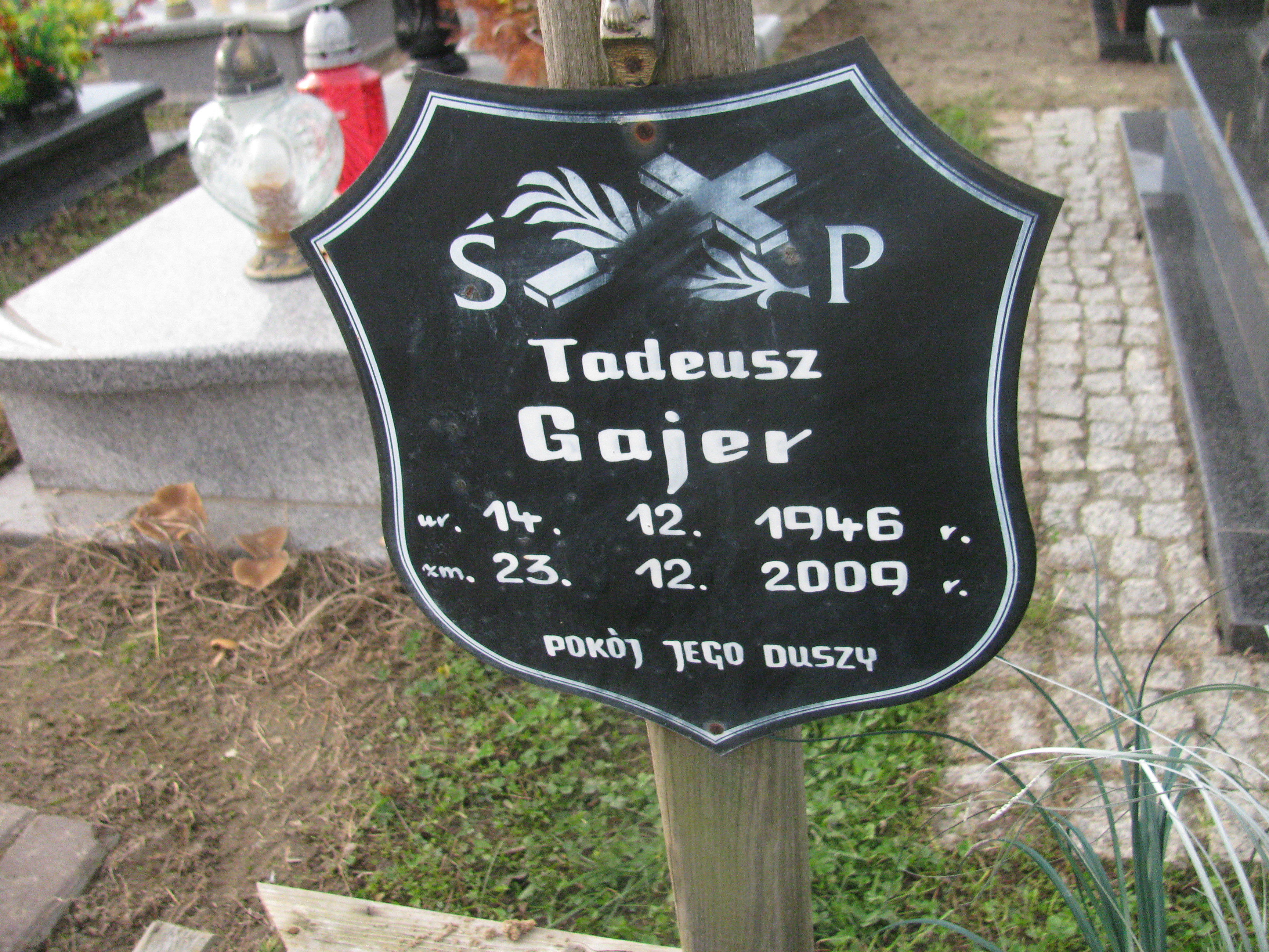 Tadeusz Gajer 1946 Opole-Półwieś - Grobonet - Wyszukiwarka osób pochowanych