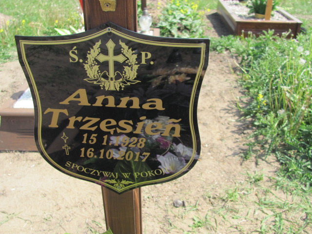 Władysław TRZĘSIEŃ 1920 Opole-Półwieś - Grobonet - Wyszukiwarka osób pochowanych