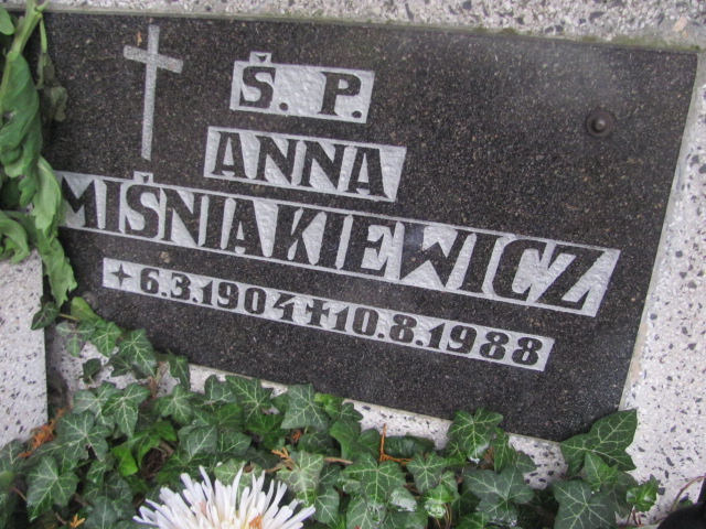 Anna Miśniakiewicz 1904 Opole-Półwieś - Grobonet - Wyszukiwarka osób pochowanych