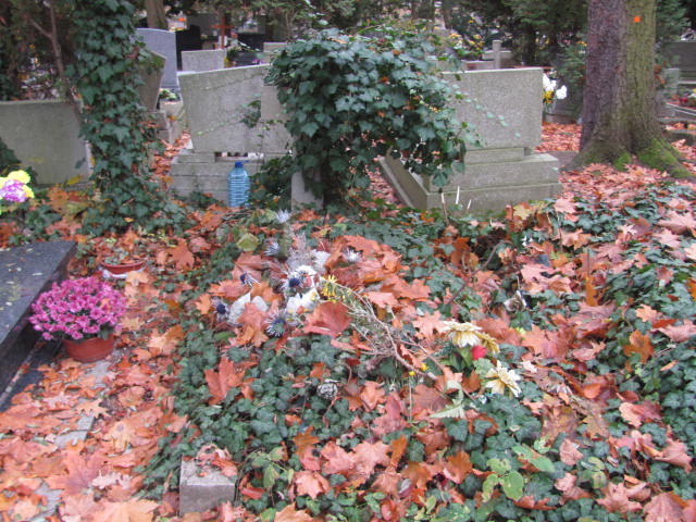 Marta Kalus 1896 Opole-Półwieś - Grobonet - Wyszukiwarka osób pochowanych