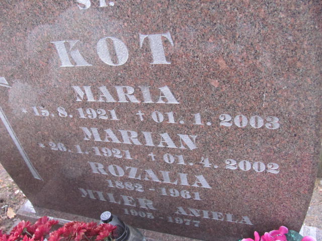 Marian Kot 1921 Opole-Półwieś - Grobonet - Wyszukiwarka osób pochowanych