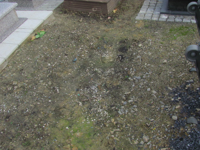 Olga KOWALSKA 1943 Opole-Półwieś - Grobonet - Wyszukiwarka osób pochowanych