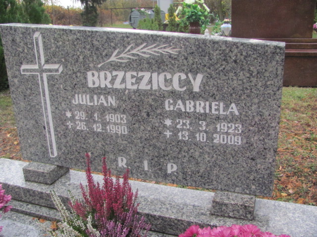 Julian Brzezicki 1903 Opole-Półwieś - Grobonet - Wyszukiwarka osób pochowanych