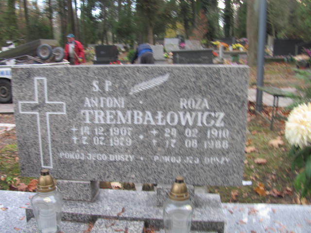Antoni Trembałowicz 1902 Opole-Półwieś - Grobonet - Wyszukiwarka osób pochowanych