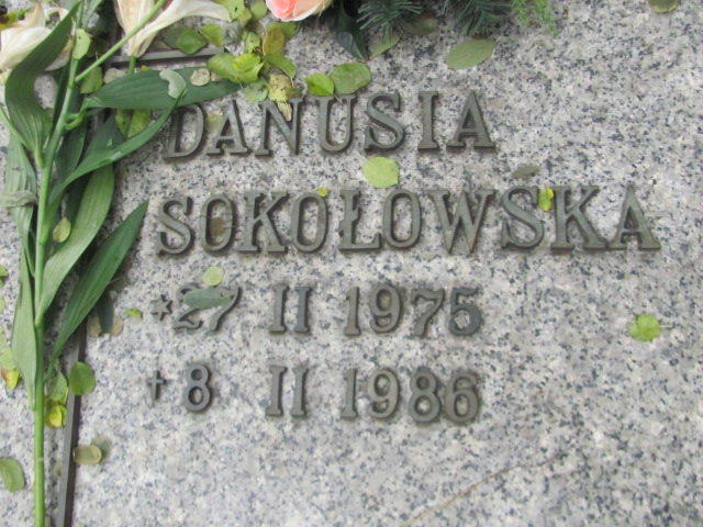 Mieczysław SOKOŁOWSKI 1945 Opole-Półwieś - Grobonet - Wyszukiwarka osób pochowanych