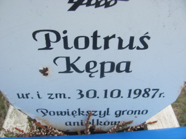 Piotr Kępa 1987 Opole-Półwieś - Grobonet - Wyszukiwarka osób pochowanych