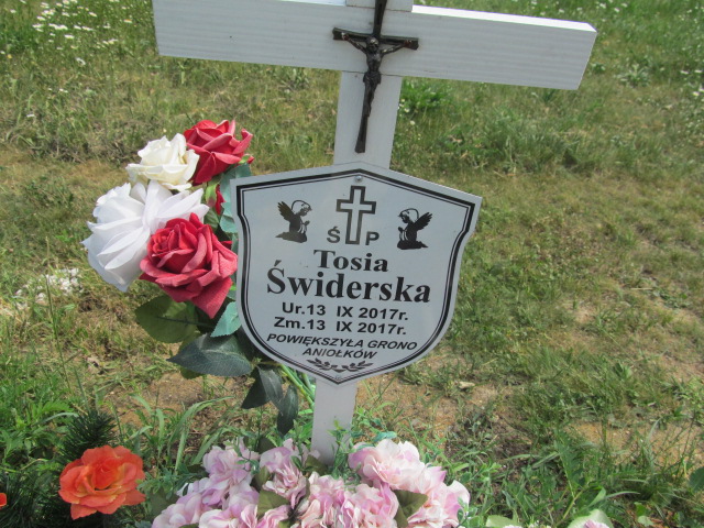 Grób Antonina Świderska
