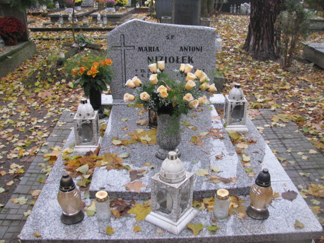 Grób Teresa Niziołek
