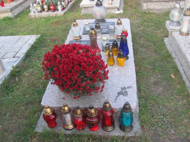 Grób Anna Saltarius
