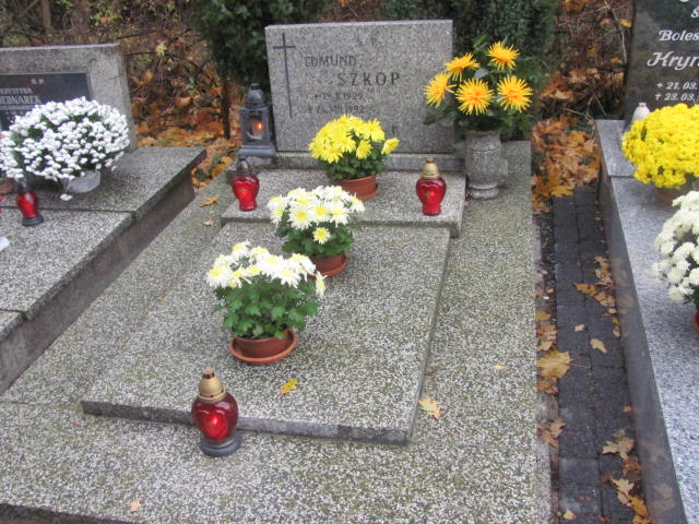 Grób Stefania Szkop