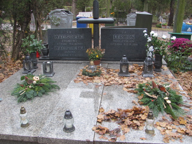 Grób Mieczysław Ledwoń