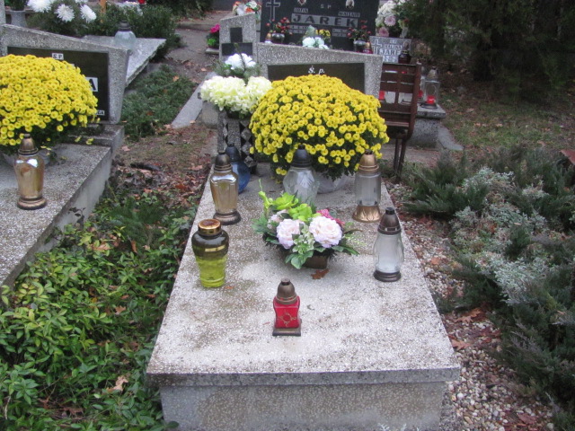 Grób MARIAN MISIEWICZ